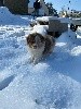 River of America Yukon